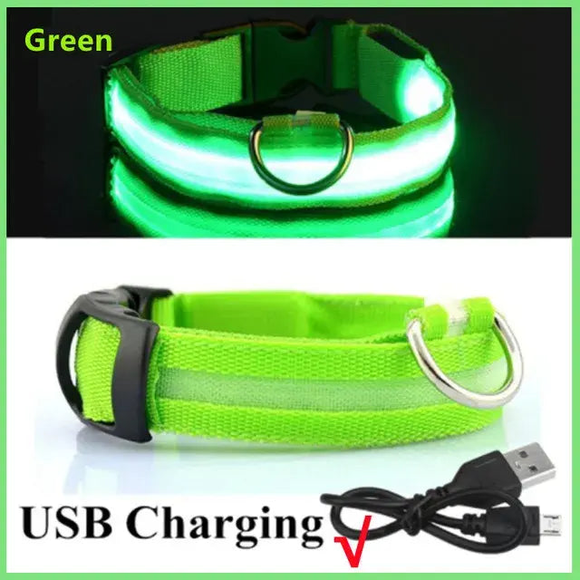 Glowing Dog Collar Adjustable Flashing