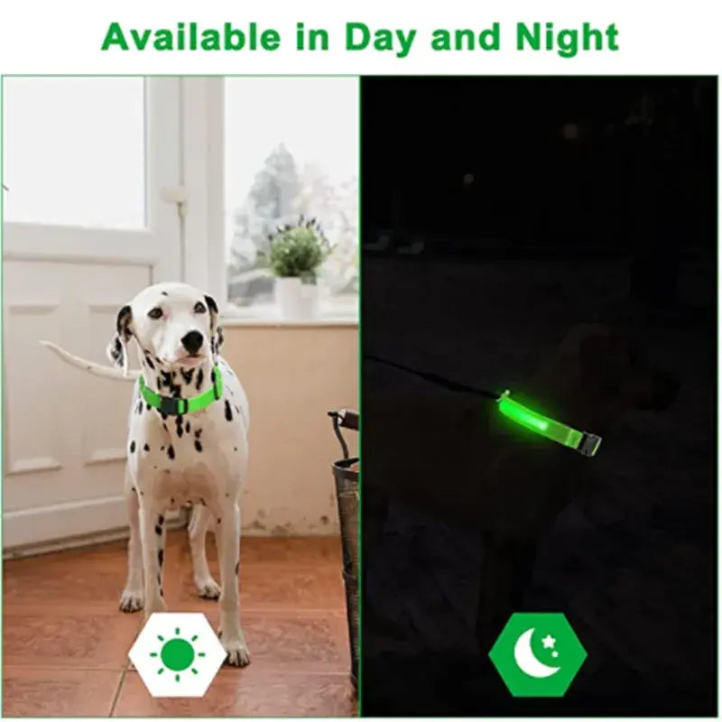 Glowing Dog Collar Adjustable Flashing