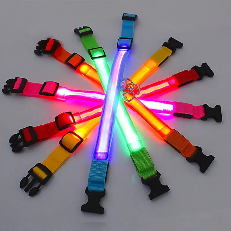 Glowing Dog Collar Adjustable Flashing